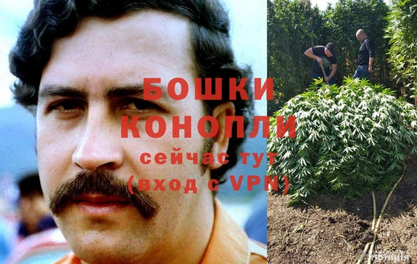 каннабис Аркадак