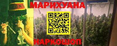 индика Кузнецк