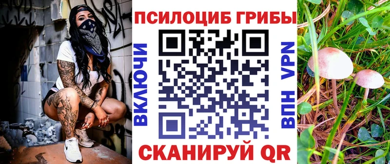 дарк нет клад  Павловский Посад  Галлюциногенные грибы ЛСД 