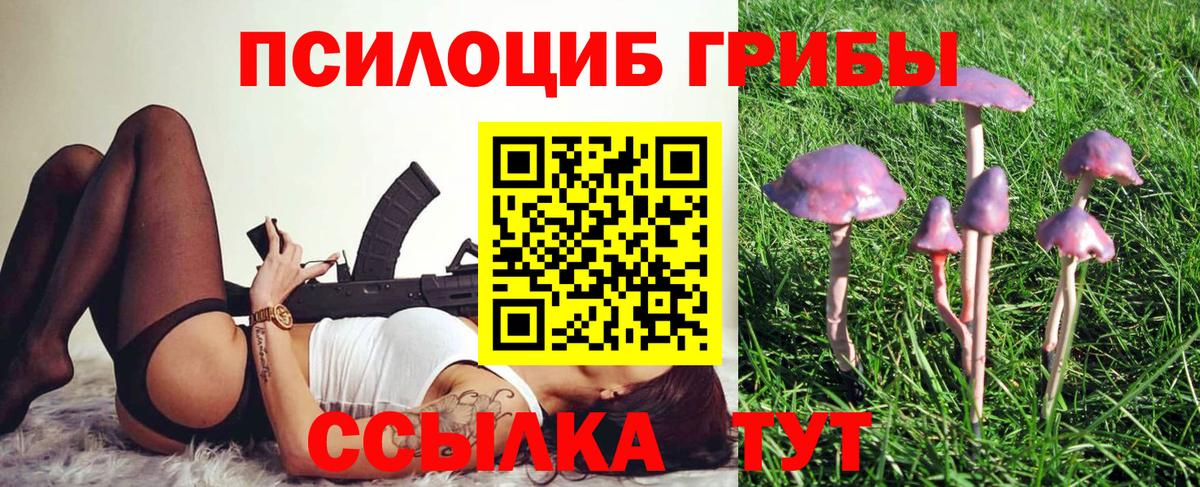 Павловский Посад  Псилоцибиновые грибы MAGIC MUSHROOMS  Вход с VPN 